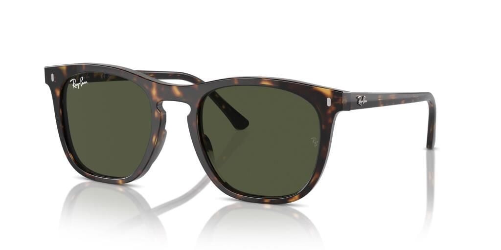 Ray-Ban RB 2210 902/31 .53 Güneş Gözlüğü