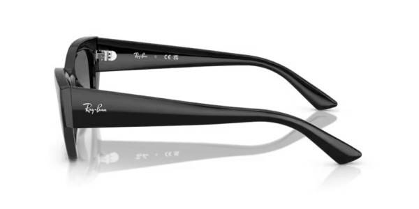 Ray-Ban RB 4430 667711 .49 Unisex Güneş Gözlüğü