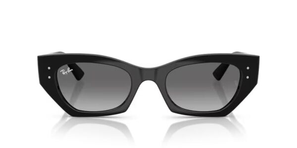 Ray-Ban RB 4430 667711 .49 Unisex Güneş Gözlüğü