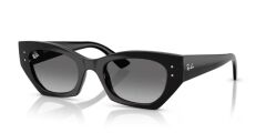 Ray-Ban RB 4430 667711 .49 Unisex Güneş Gözlüğü