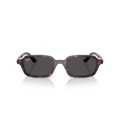 Ray-Ban RB 4455 135987 .49 Unisex Güneş Gözlüğü