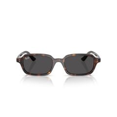 Ray-Ban RB 4455 135987 .49 Unisex Güneş Gözlüğü