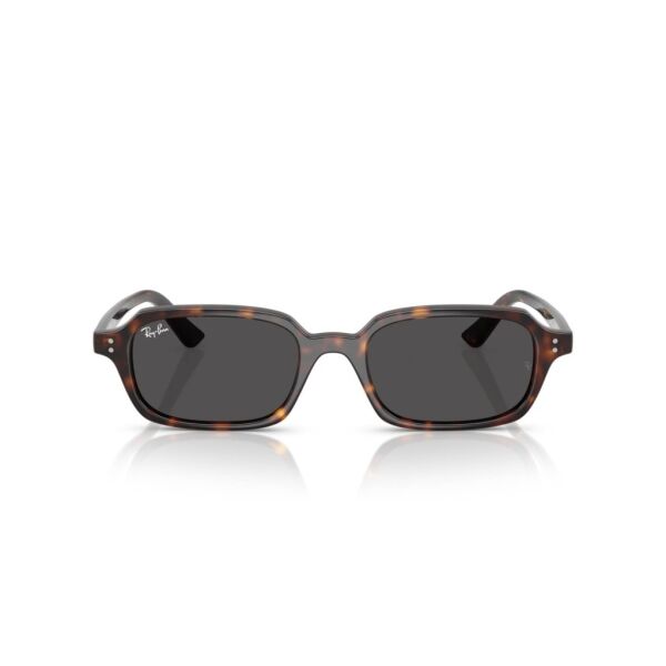 Ray-Ban RB 4455 135987 .49 Unisex Güneş Gözlüğü