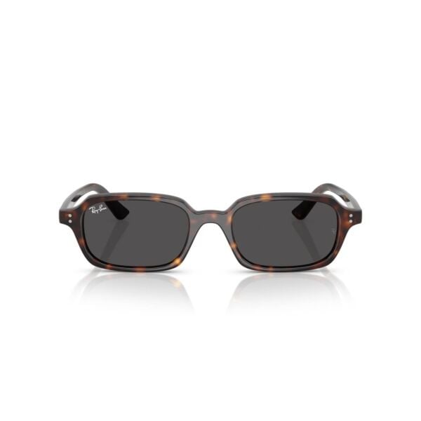 Ray-Ban RB 4455 135987 .49 Unisex Güneş Gözlüğü