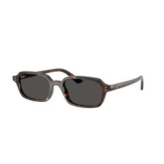 Ray-Ban RB 4455 135987 .49 Unisex Güneş Gözlüğü