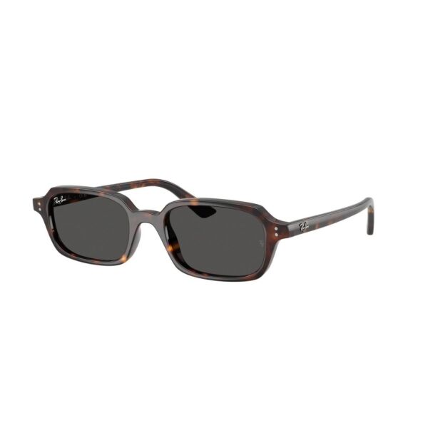 Ray-Ban RB 4455 135987 .49 Unisex Güneş Gözlüğü