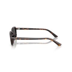 Ray-Ban RB 4455 135987 .49 Unisex Güneş Gözlüğü