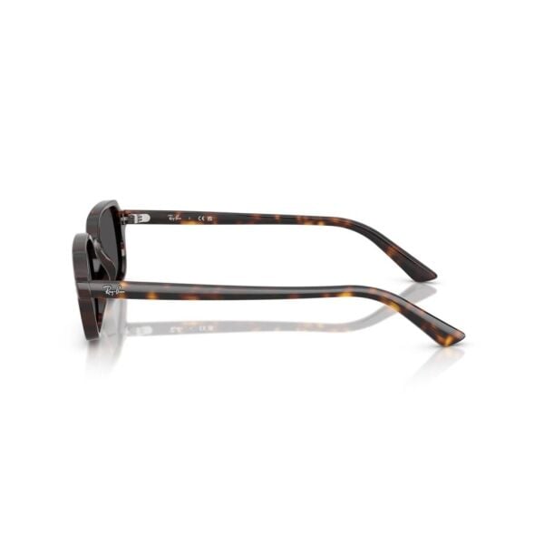 Ray-Ban RB 4455 135987 .49 Unisex Güneş Gözlüğü