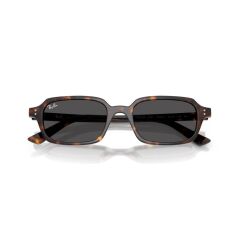 Ray-Ban RB 4455 135987 .49 Unisex Güneş Gözlüğü