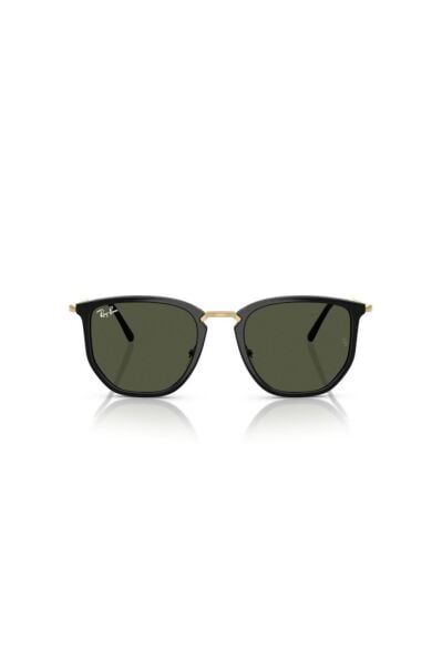 Ray-Ban RB 4451 630631 .53 Unisex Güneş Gözlüğü