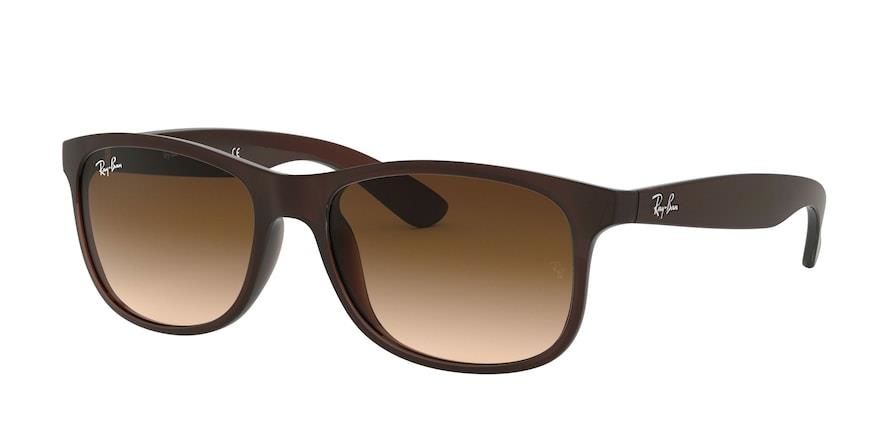 Ray-Ban RB 4202 607313 .55 Güneş Gözlüğü