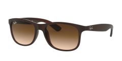 Ray-Ban RB 4202 607313 .55 Güneş Gözlüğü