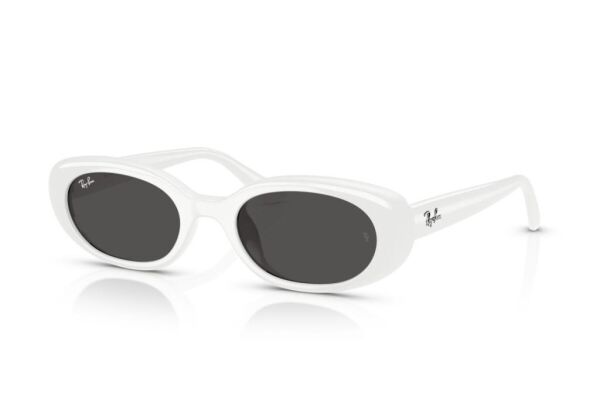 Ray-Ban RB 4441D 677287 .53  Güneş Gözlüğü