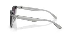 Ray-Ban RB 4461D 64508G .64 Unisex Güneş Gözlüğü