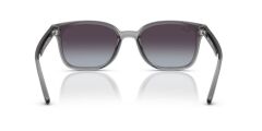 Ray-Ban RB 4461D 64508G .64 Unisex Güneş Gözlüğü