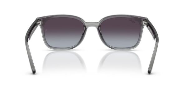 Ray-Ban RB 4461D 64508G .64 Unisex Güneş Gözlüğü