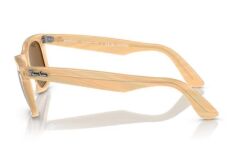 Ray-Ban RB 2140 140833 .50 Güneş Gözlüğü