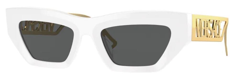 Versace VE 4432U 401/87 .53 Kadın Güneş Gözlüğü