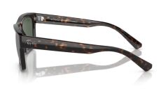 Ray-Ban RB 4396 135971 .54 Güneş Gözlüğü