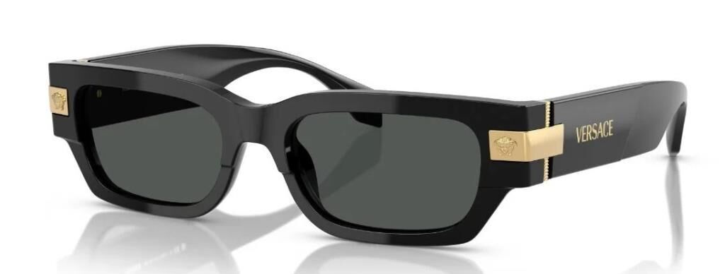 Versace VE 4465 GB1/87 .53 Erkek Güneş Gözlüğü