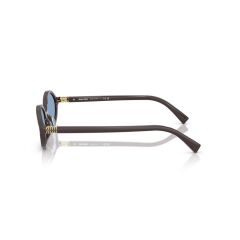 Miu Miu 04ZS 22C60O .50 Kadın Güneş Gözlüğü