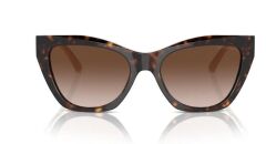 Emporio Armani EA 4176 587913 .54 Güneş Gözlüğü