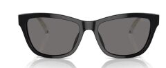 Emporio Armani EA 4227U 501787 .56 Güneş Gözlüğü