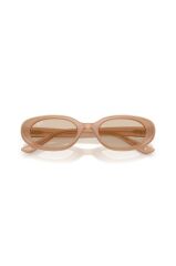Ray-Ban RB 4441D 678793 .53 Güneş Gözlüğü