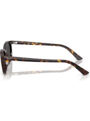 Ray-Ban RB 4456 135987 .53 Unisex Güneş Gözlüğü