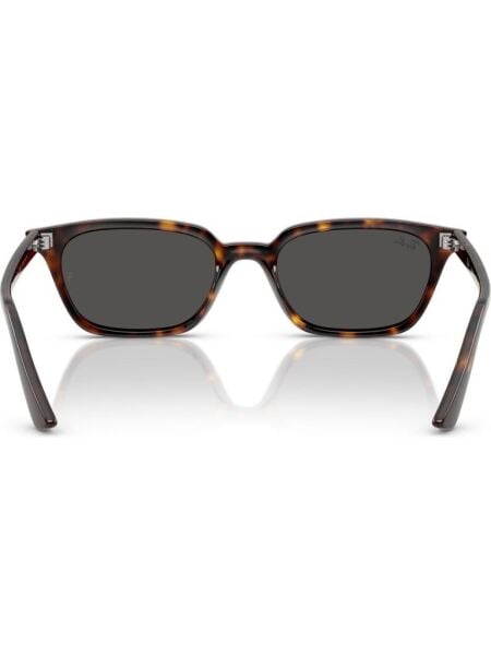 Ray-Ban RB 4456 135987 .53 Unisex Güneş Gözlüğü