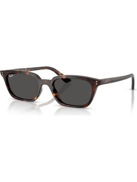 Ray-Ban RB 4456 135987 .50 Unisex Güneş Gözlüğü