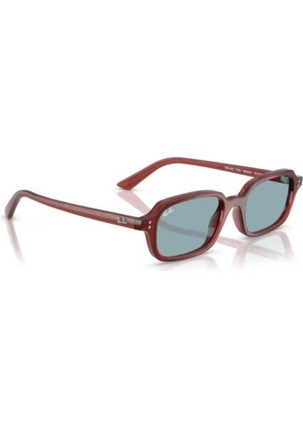 Ray-Ban RB 4455 680980 .49 Unisex Güneş Gözlüğü