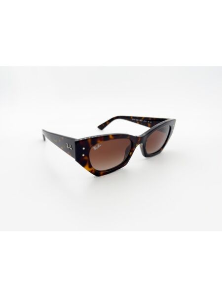 Ray-Ban RB 4430 135913 .52 Unisex Güneş Gözlüğü