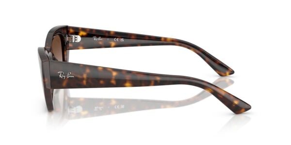 Ray-Ban RB 4430 135913 .49 Unisex Güneş Gözlüğü