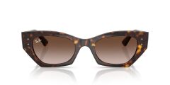 Ray-Ban RB 4430 135913 .49 Unisex Güneş Gözlüğü