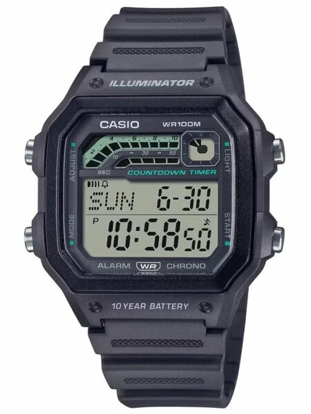 Casio Standart Erkek Kol Saati WS-1600H-8AVDF