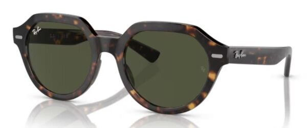 Ray-Ban RB 4399 902/31 .51 Unisex Güneş Gözlüğü