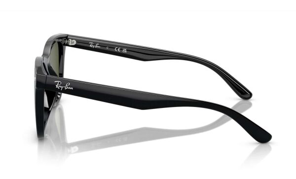 Ray-Ban RB 4420 601/9A .65 Güneş Gözlüğü