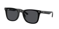 Ray-Ban RB 4420 601/87 .65 Güneş Gözlüğü