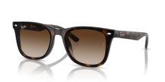 Ray-Ban RB 4420 710/13 .65 Güneş Gözlüğü