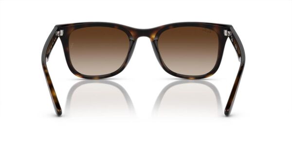 Ray-Ban RB 4420 710/13 .65 Güneş Gözlüğü