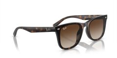 Ray-Ban RB 4420 710/13 .65 Güneş Gözlüğü