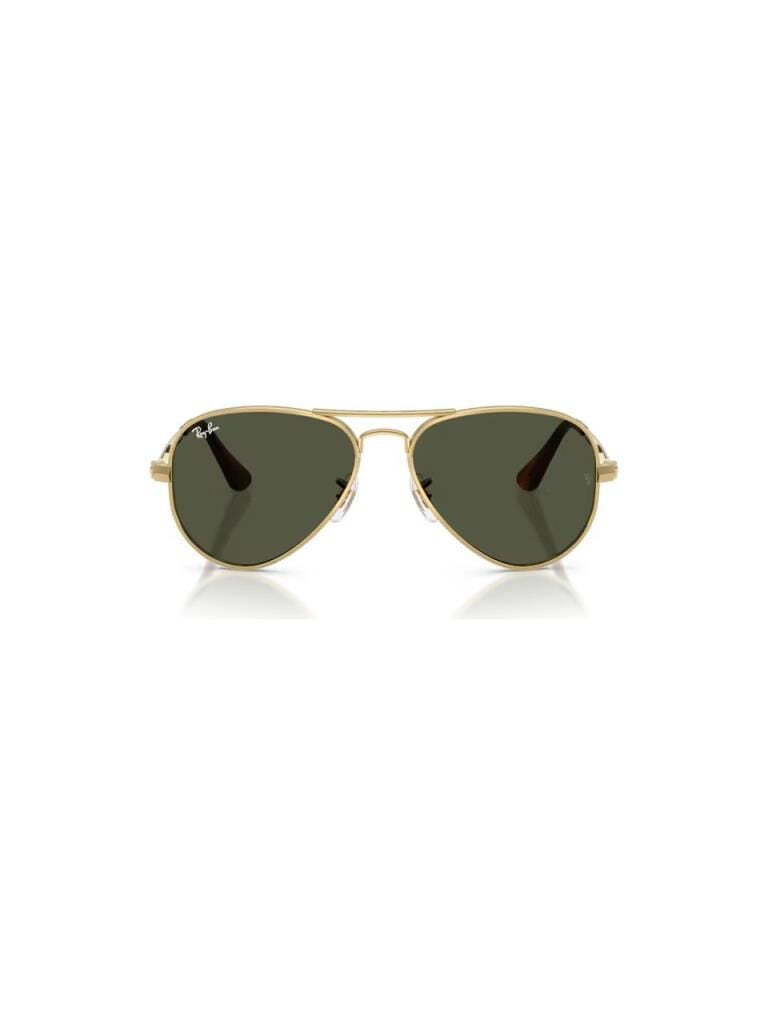 Ray-Ban RB 3925 001/31 .58 Güneş Gözlüğü