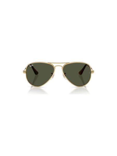 Ray-Ban RB 3925 001/31 .58 Güneş Gözlüğü