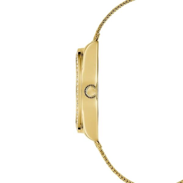 Guess GUGW0748L2Kadın Kol Saati
