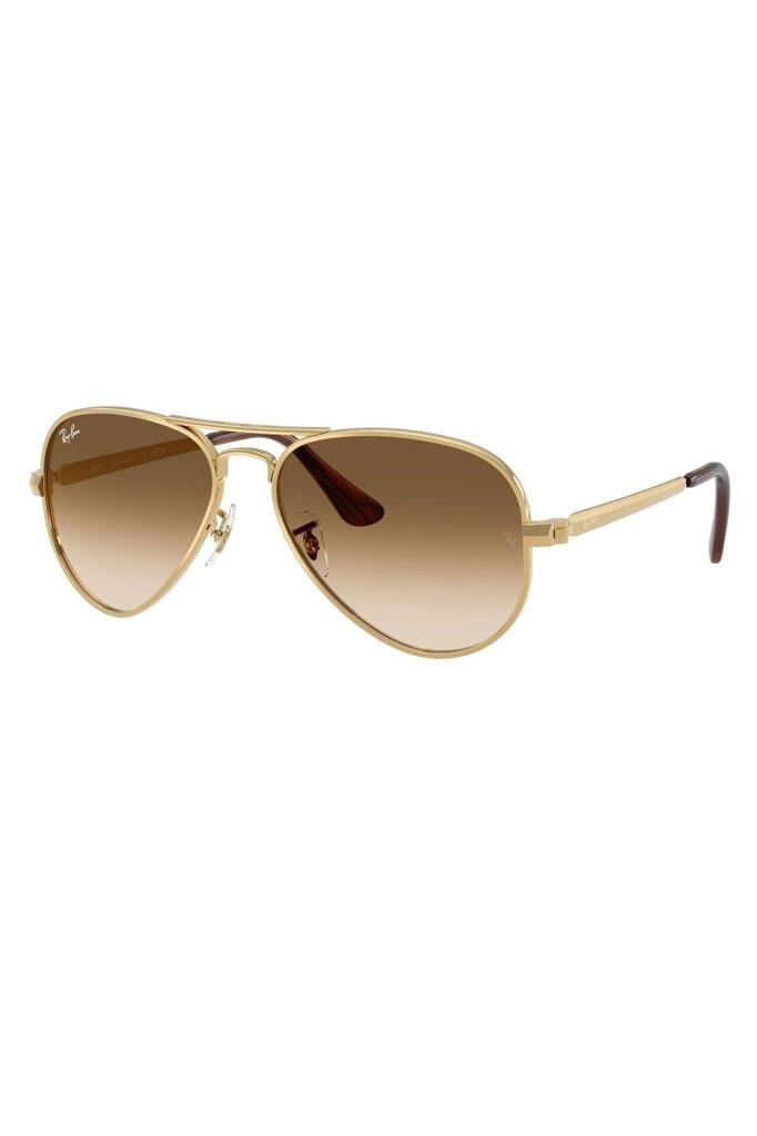 Ray-Ban RB 3925 001/51 .58 Unisex Güneş Gözlüğü