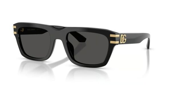 Dolce Gabbana DG 4496 501/87 .54 Erkek Güneş Gözlüğü