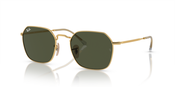 Ray-Ban RB3694 001/31 .55 Güneş Gözlüğü