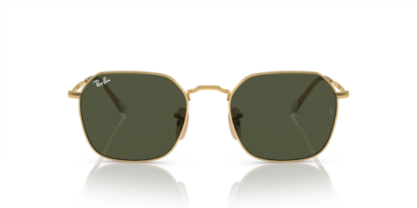 Ray-Ban RB3694 001/31 .55 Güneş Gözlüğü