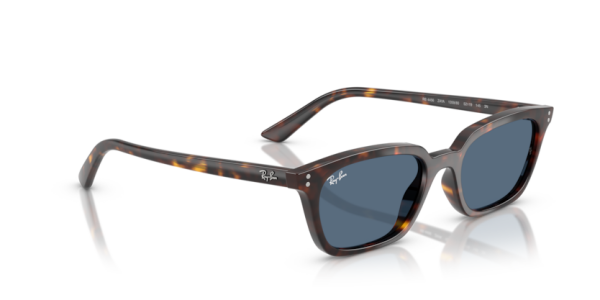 Ray-Ban RB4456 135980 .53 Güneş Gözlüğü